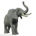 Papo Trumpeting Elephant Toy Figure B000GKXVSC